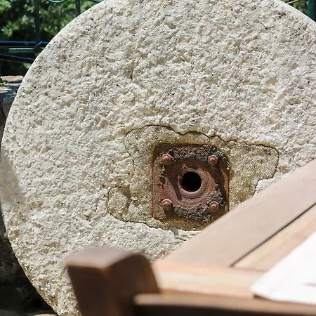The Olive Press