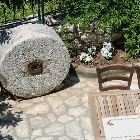 The Olive Press Strongyli (Thinali)