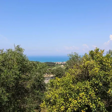 Hotel The Olive Press 4*