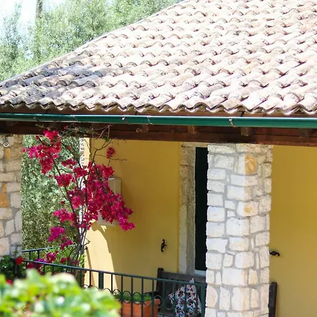 Hotel The Olive Press
